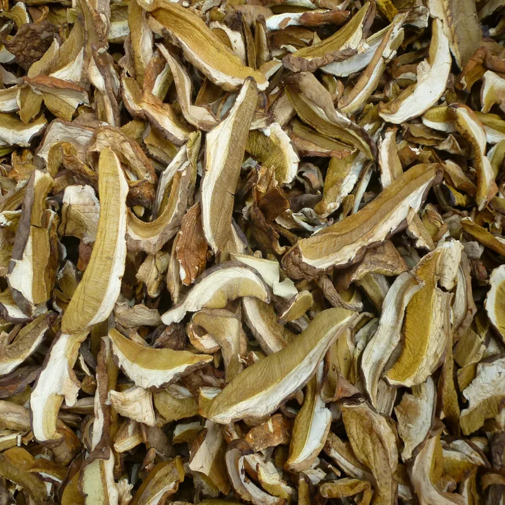 
Factory Price Premium Quality Bulk Dry Funghi Porcini Mushroom without Stem 