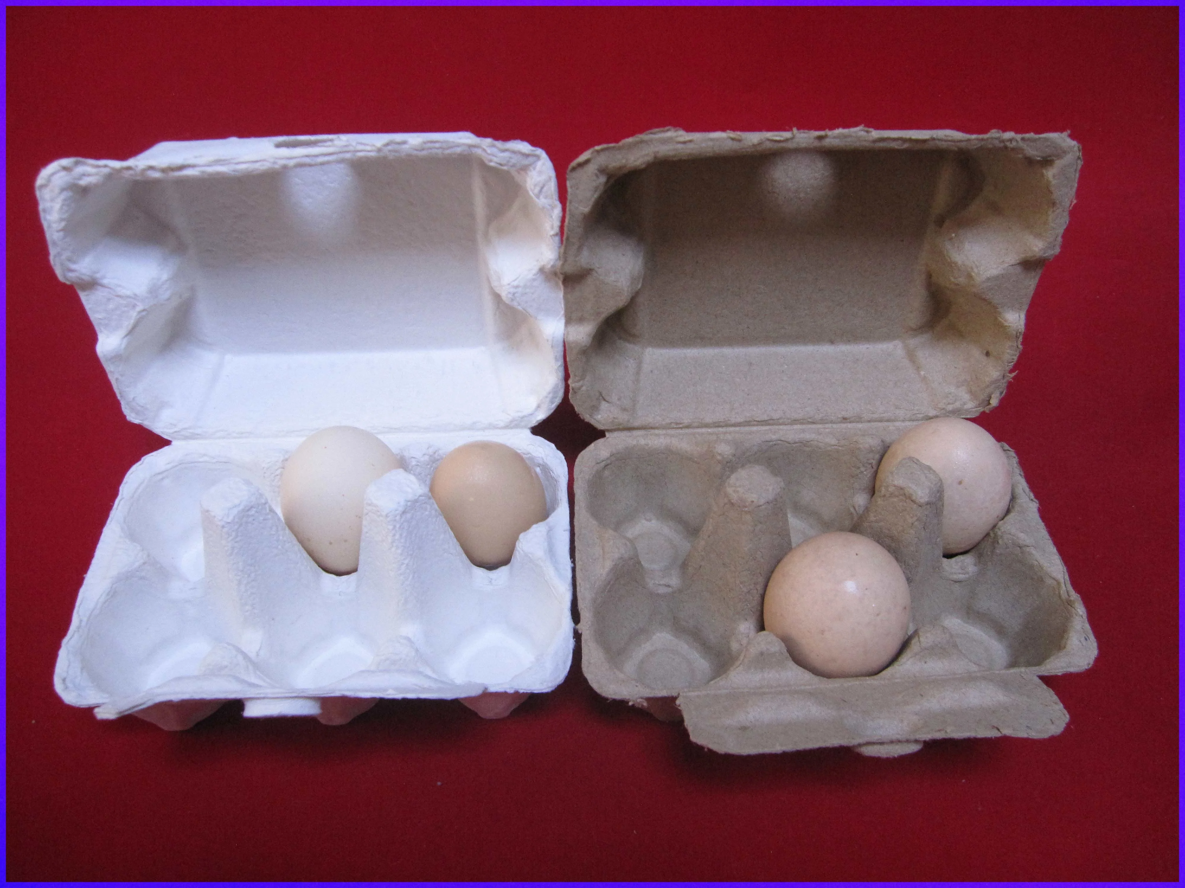 Wholesale eco-friendly egg holder box pulp moulding 4 pack white egg carton