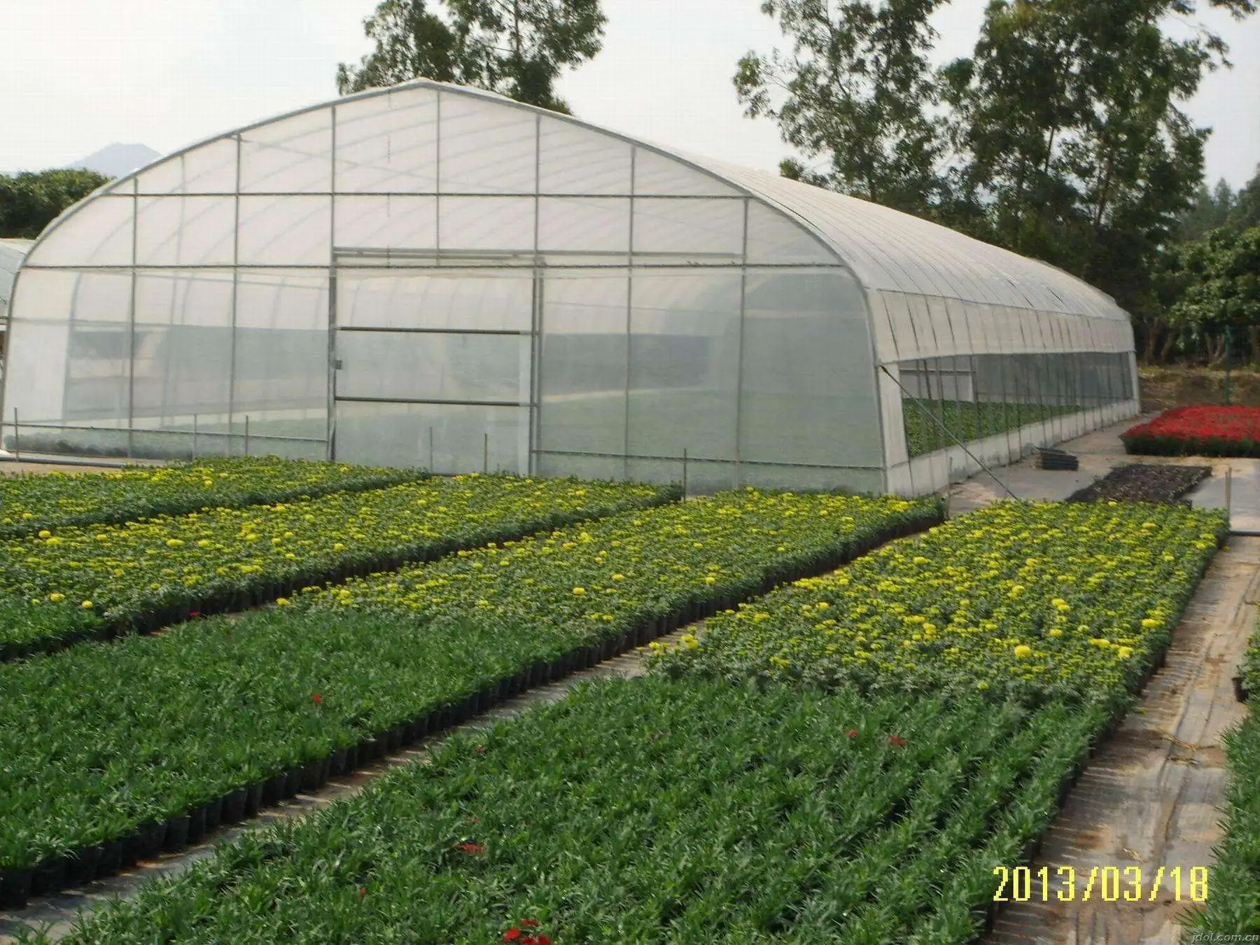 Gothic high tunnel greenhouse container for plants greenhouse farming single span/tunnel greenhouse