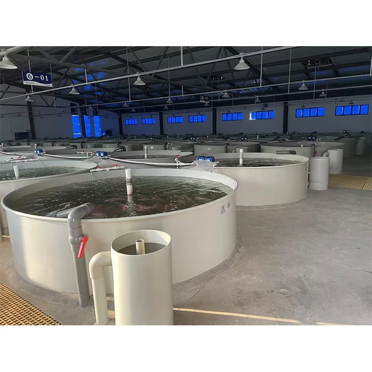 Circular Fish Farm with Tanks  for Commercial Fish Farm  ras system equipment customize indoor ras fish farming