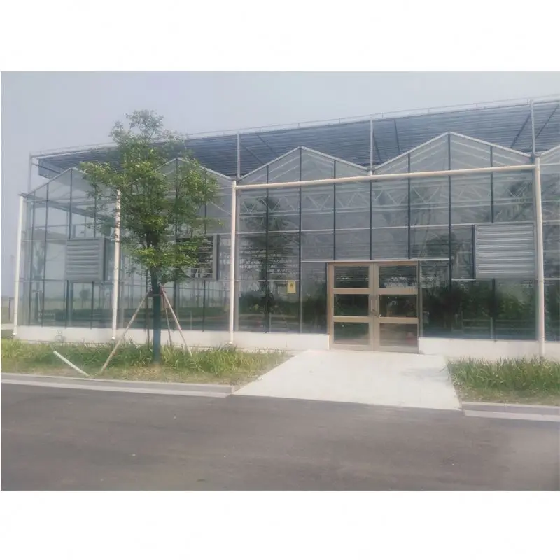 
Commercial glass greenhouse wit hydroponics and other equipments 