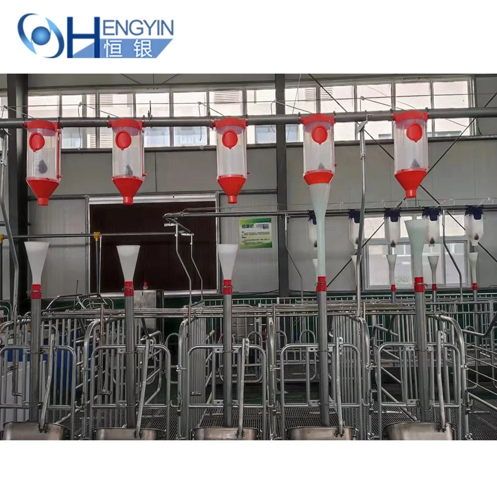 Semi-automatic feeding system automatic pig feed dispenser creep feeder hopper