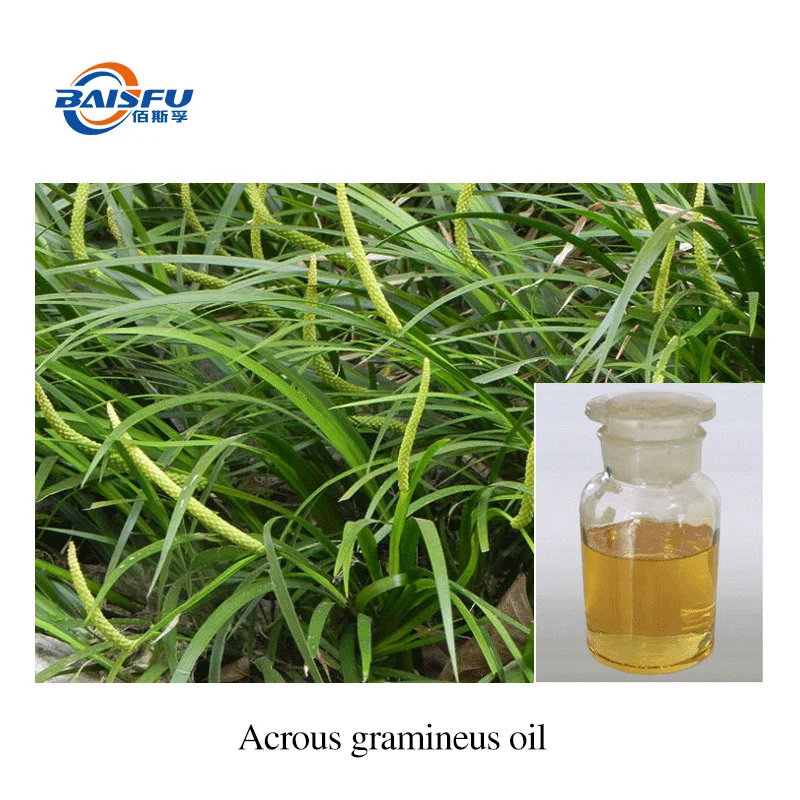 Southernwood Oil CAS8022-37-5 natural organic pure Wholesale bulk price Chinese ten years Manufacturer for Southernwood Oil CAS8