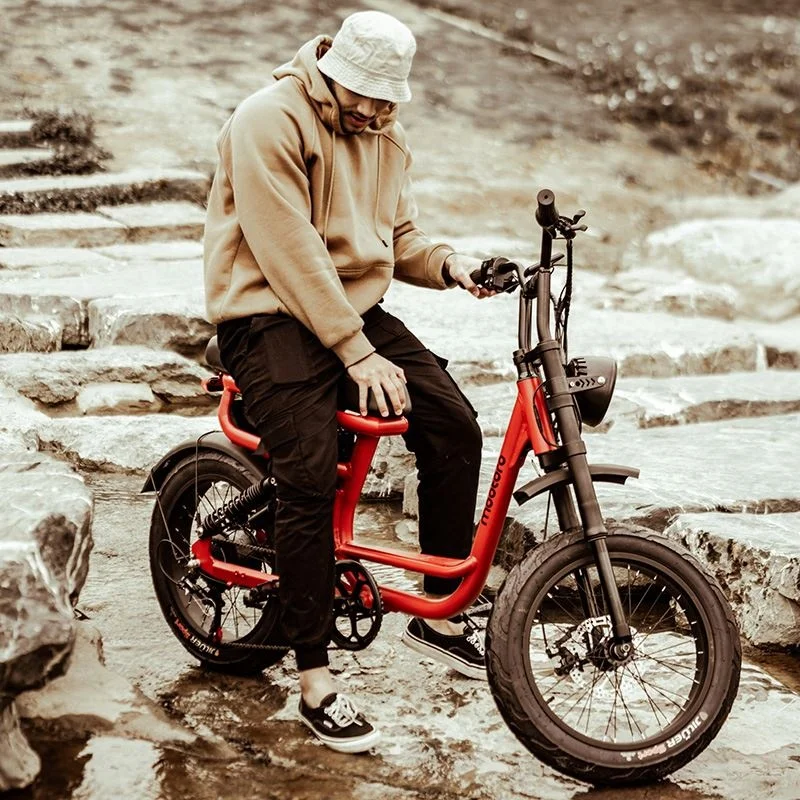 2023 New Frame Step Though Electric Bike Off-road Fat Tire Electric Dirt Bike