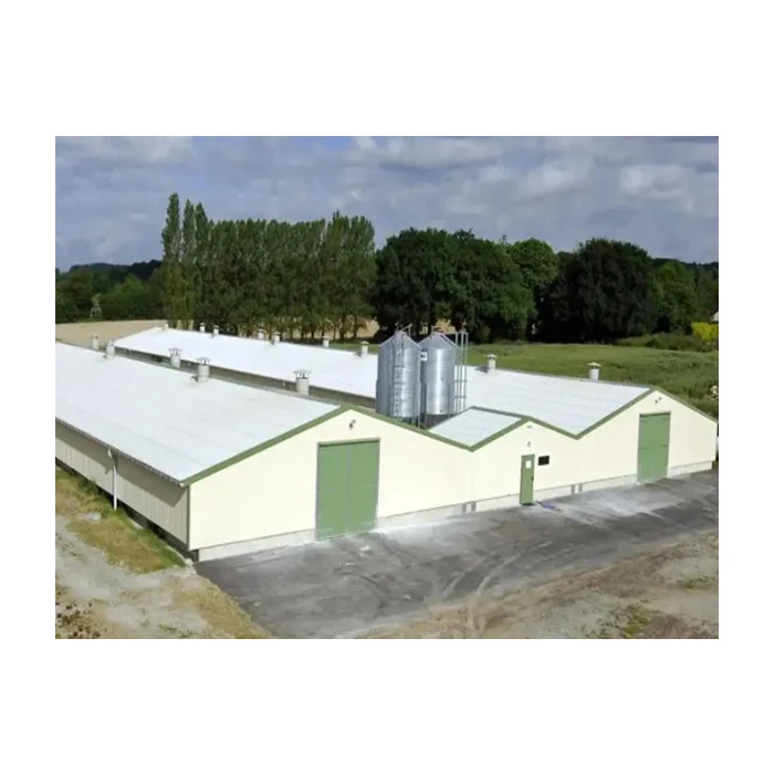 Низкая стоимость фермы сарай стальная конструкция для птицы строительный дом бройлеров куриный poulailler