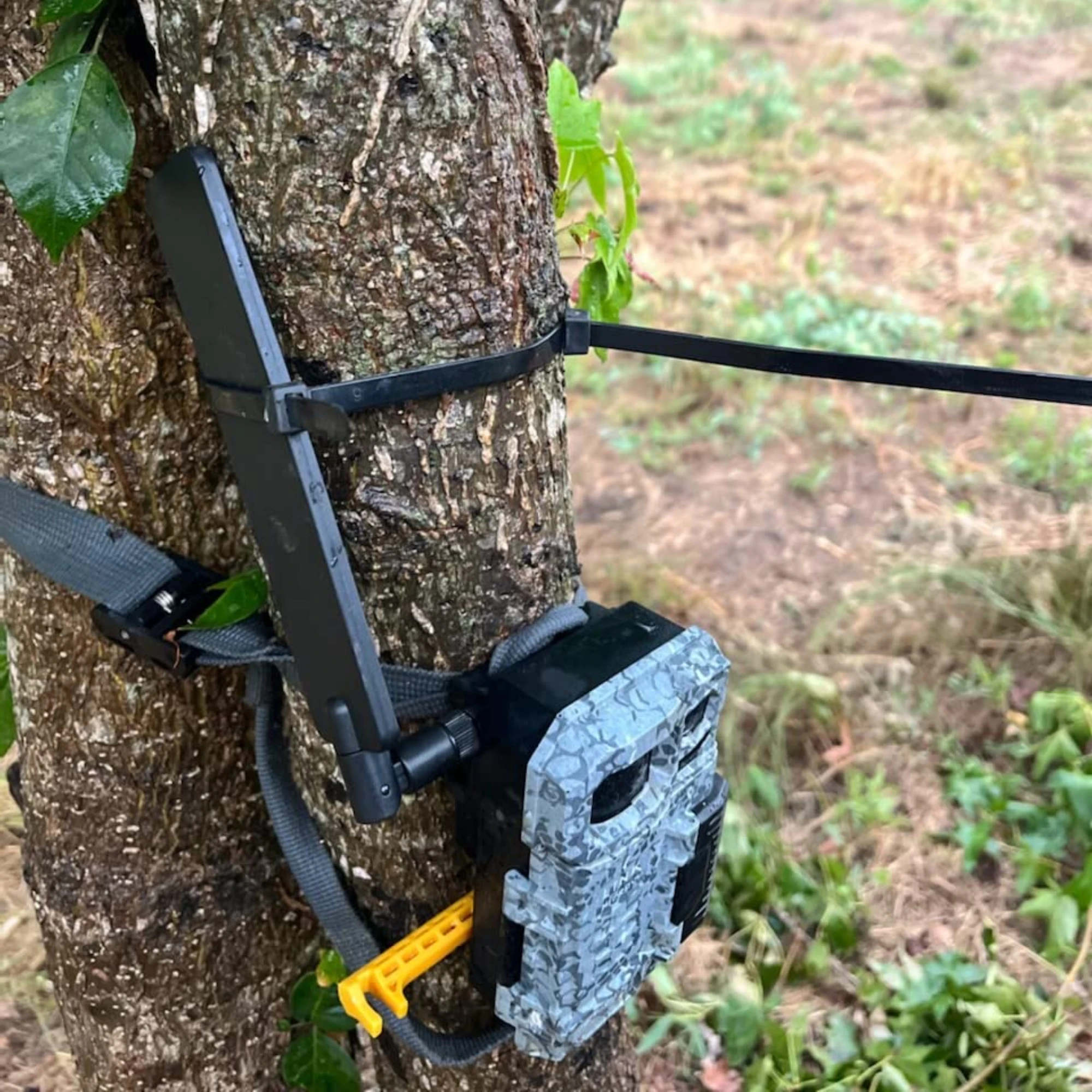 5dbi 4G lte long range  booster rubber 360 degree mimo paddle sma cpe Router outdoor external Trail Camera 4g antenna