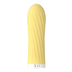 New Design Wireless Remote Control Vibrating Egg Waterproof Silicone Massage Wand Bullet Vibrator For Women And Couple