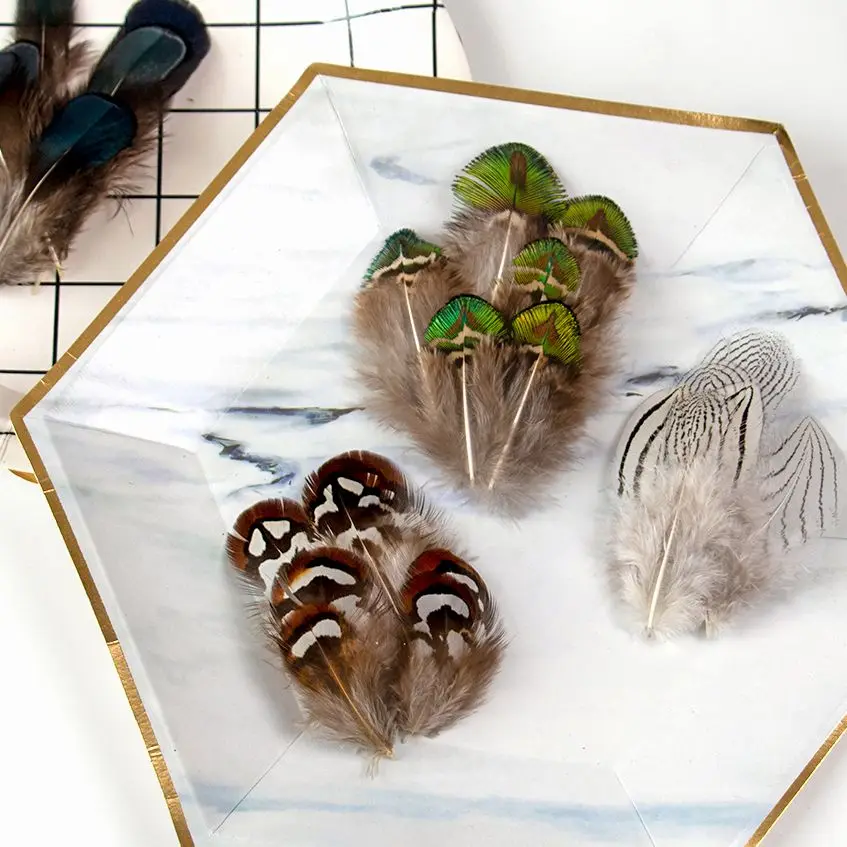 Mixing Pheasant Peacock Feathers Craft Jewelry to Make Rooster Duck Eagle