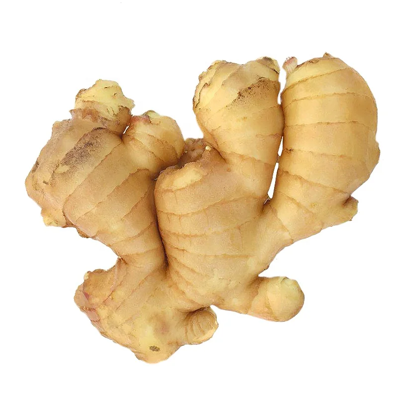 New Crop Ginger To Miami Export Price 1kg China Mature Fresh Ginger For Sale