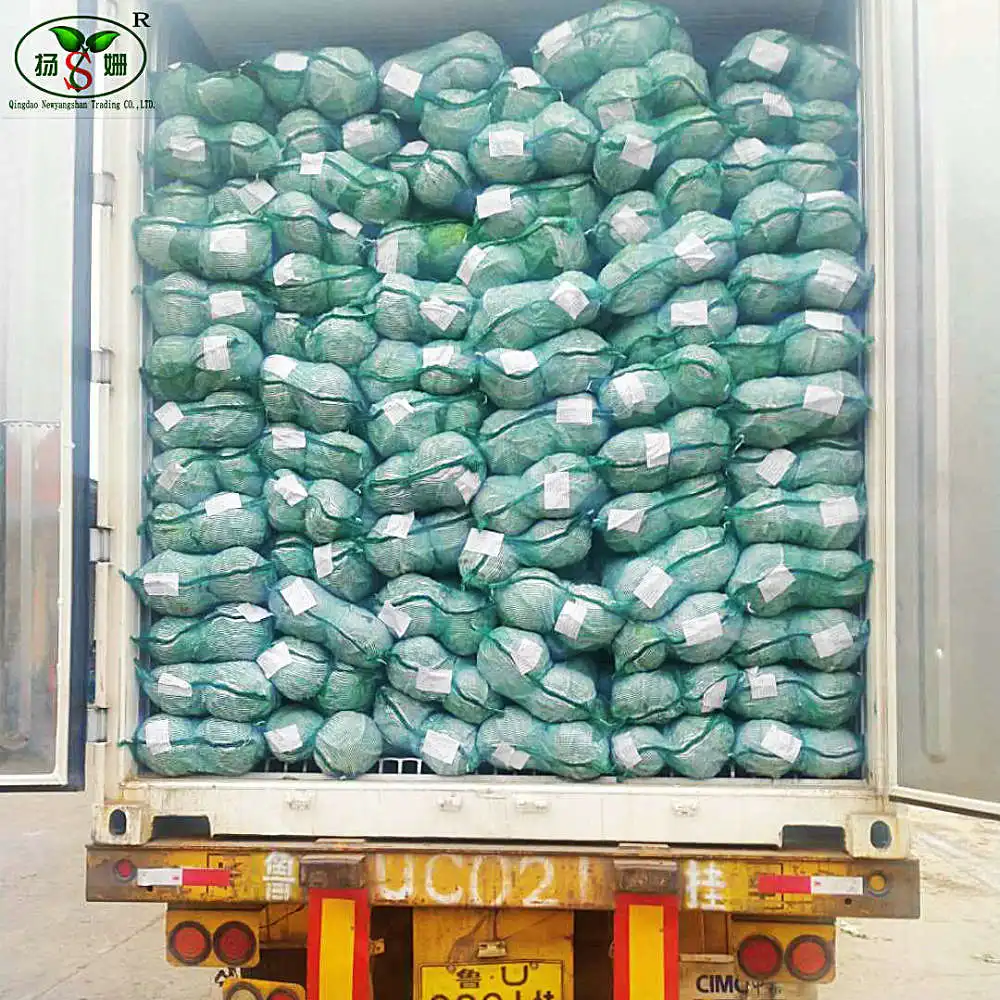 Свежая капуста по низкой цене, самый продаваемый экспортер капусты картонный мешок