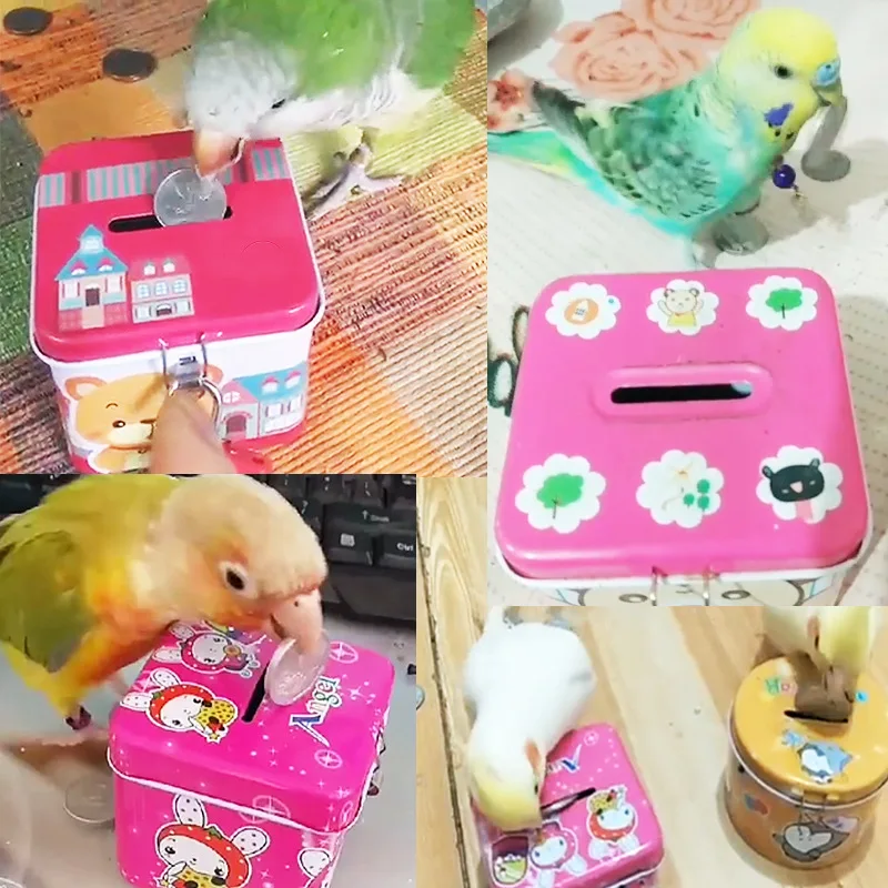 2021 Tiktok Funny Pet Toy Metal Bird Money Saving Pot