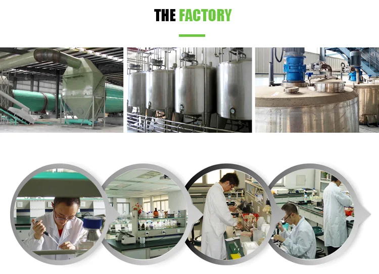 DINGHAO SLES 70% Sodium Lauryl Ether Sulfate CAS 68585-34-2