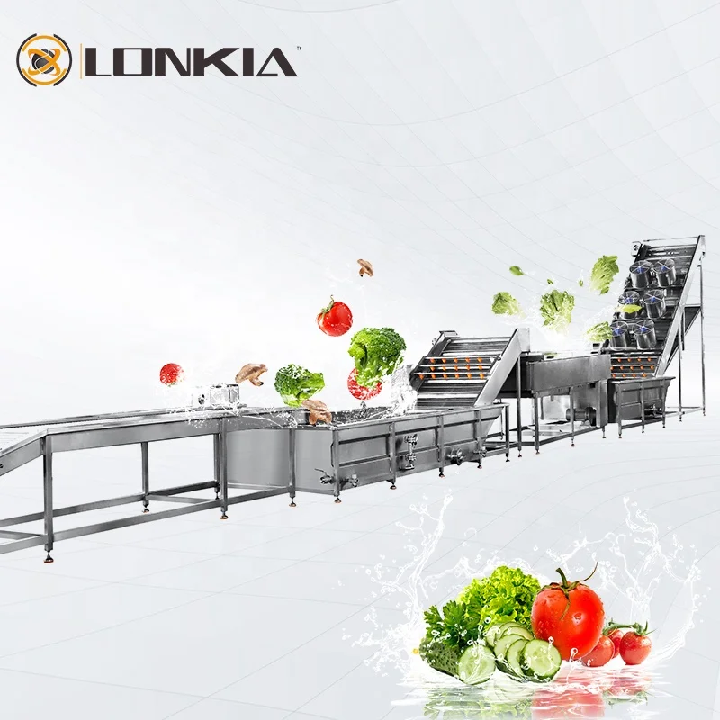LONKIA Industrial Use Small Scale 300kg/h Vegetable And Fruit Bubble Washing Machine line
