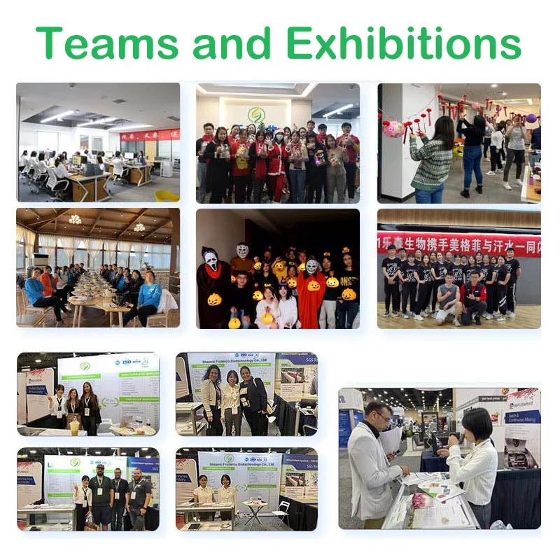 Wholesale Price CAS 16856-18-1 L-arginine Alpha Ketoglutarate AAKG L Arginine Alpha Ketoglutarate