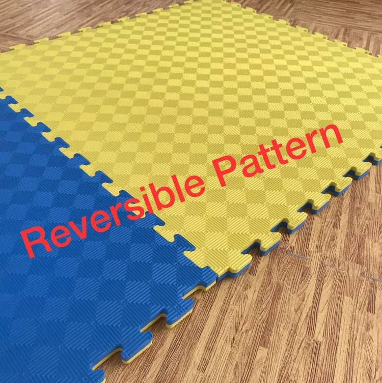 TAEKWONDO MAT 02.png