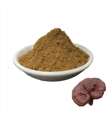 Best Price High Quality Organic Reishi Extract Powder Mushroom on Sale