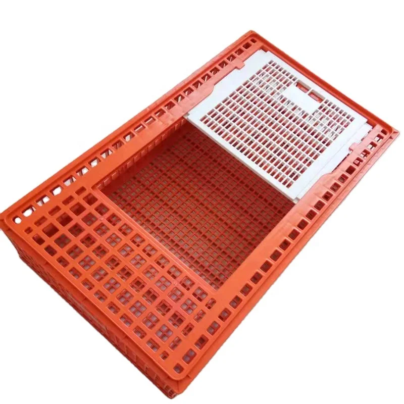 High quality plastic broiler house laying hens crates use animal cage chicken transport box for live poultry