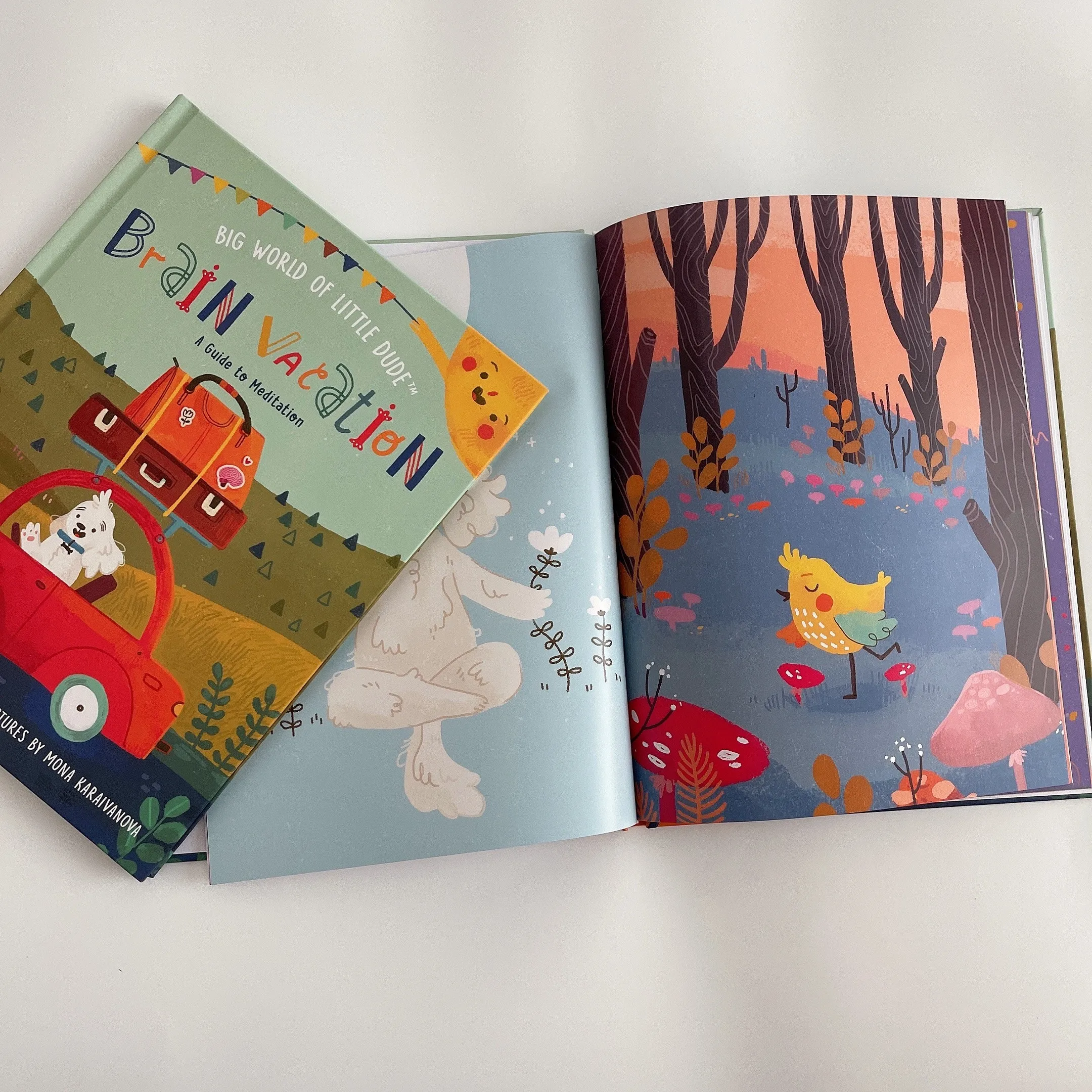 colorful animal photo hardcover books printing high quality printing