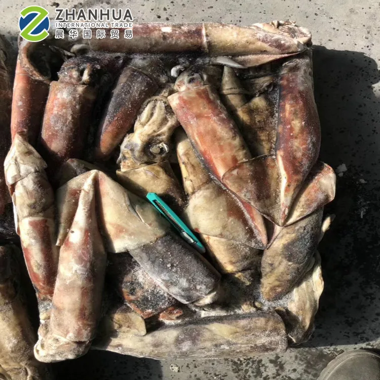 Экватор кальмар для наживки, мясо кальмара, замороженное на лодке, необработанный кальмар
