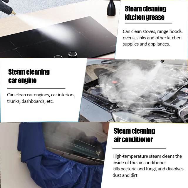 Multifunctional Comercial Kitchen Office Desktop Portable Pressure Steam Cleaner with Stainless Steel Nozzle