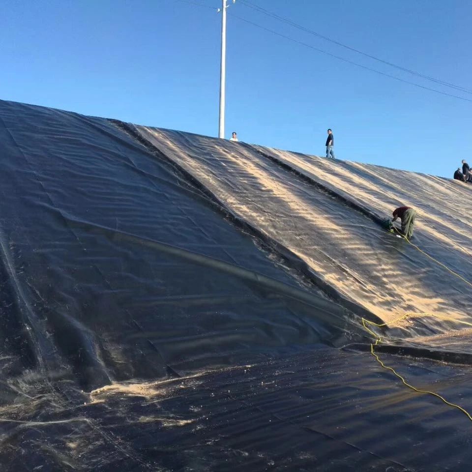 
Hdpe Geomembrane manufacturer 
