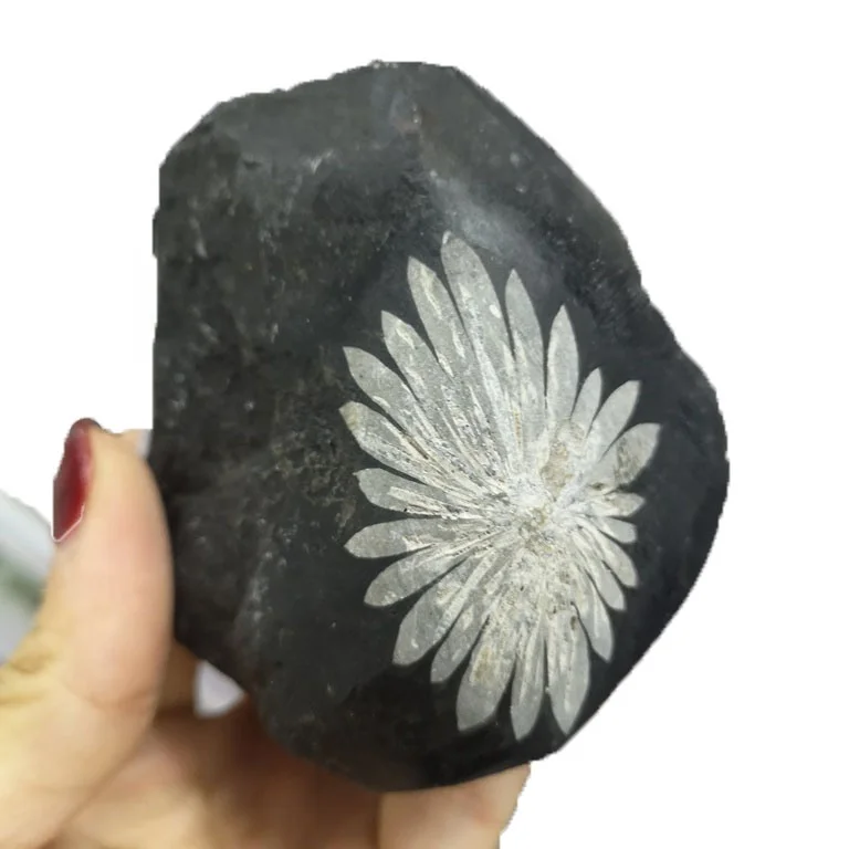 TOP Sale Natural Chrysanthemum raw stone specimen Rough Crystal Stone For Decoration