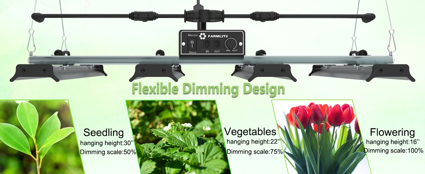 240W Sosen Driver 4 Bar 2.6 umol/J  Dimming 0-10V Control Plug and Play CTLite LED Grow Light for Indoor Herbs Planting