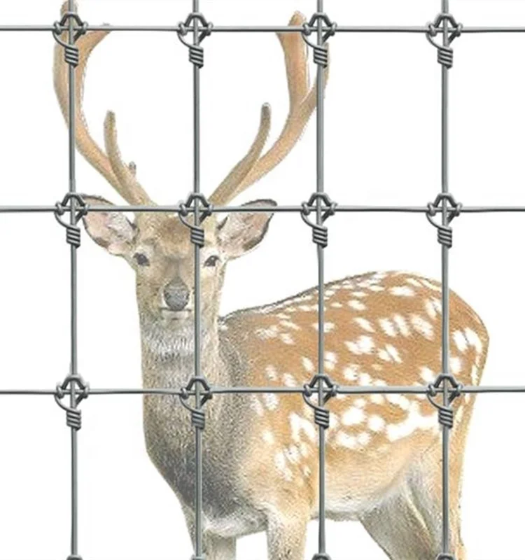 Deer Fence