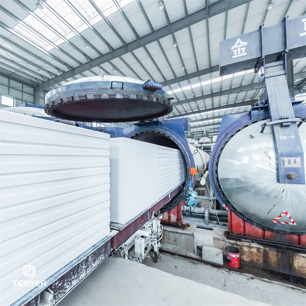 Autoclave areated concrete AAC  block cutting making machine ALC plant equipment