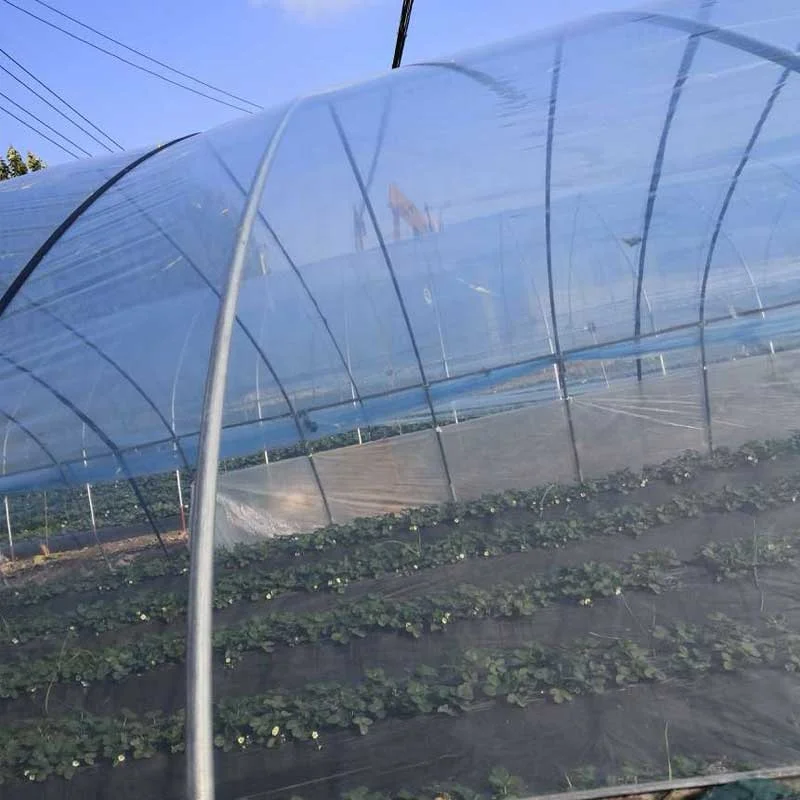 Прозрачная/желтая тепличная пленка 200 мкм с защитой от УФ-лучей