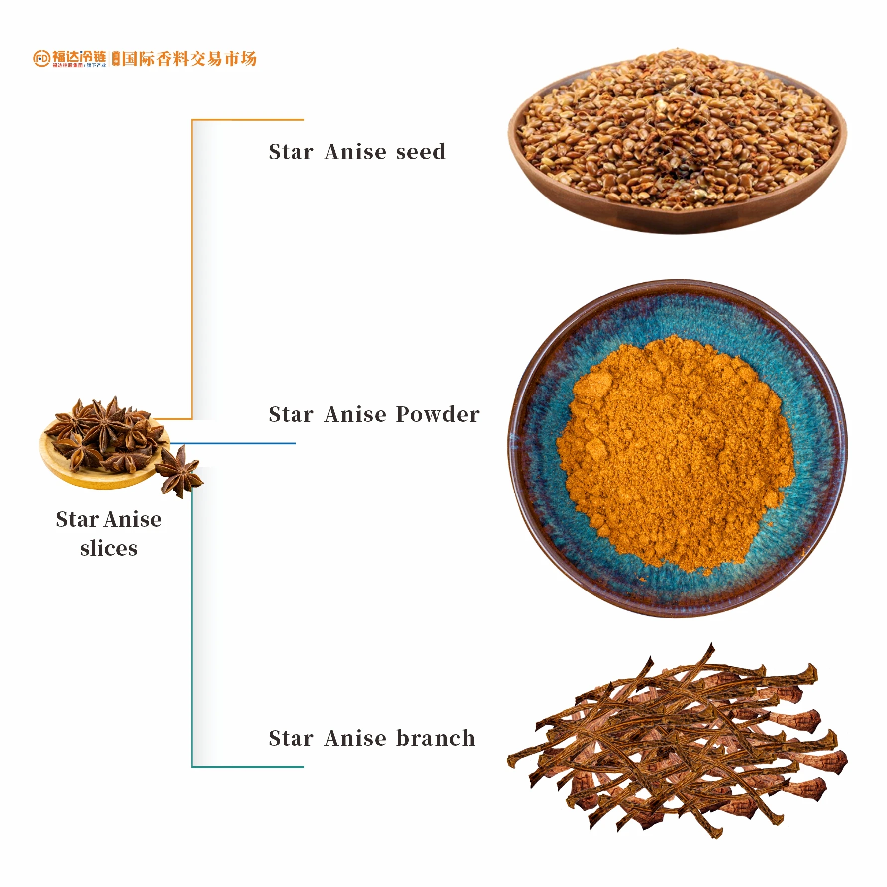 Wholesale High quality Vietnamese star anise spice and spice food ingredients at good prices