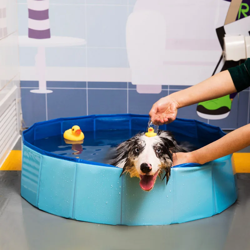 Manufacturer wholesale foldable pet grooming tubs dog swimming pool