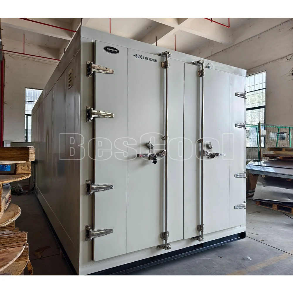 Bescool новый продукт 60 ° С быстрое морозильное оборудование контейнер для хранения тунца распродажа