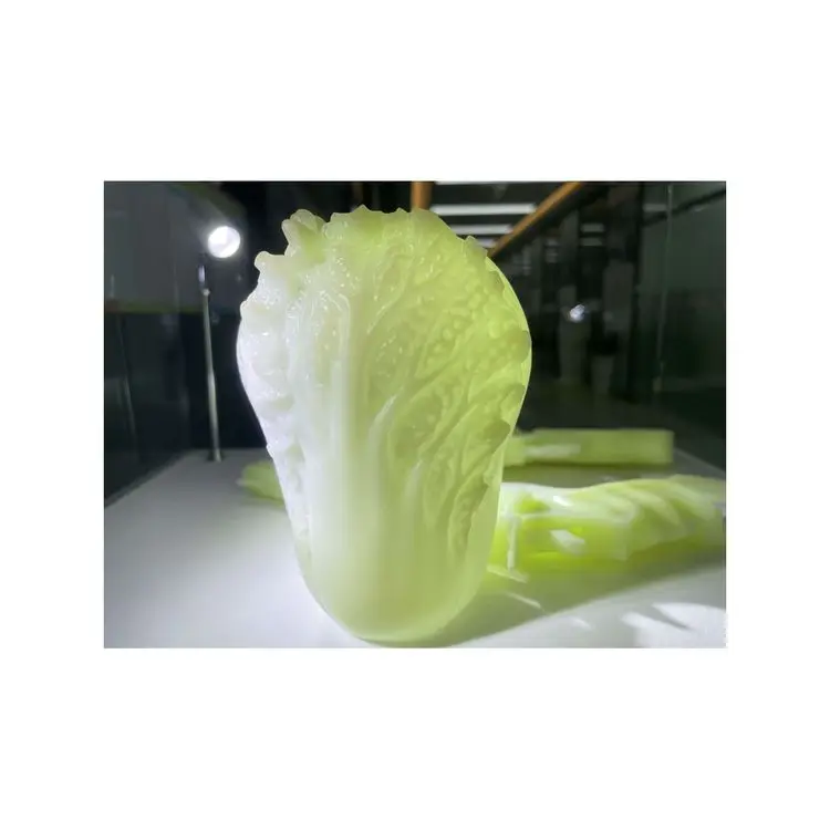 Горячий товар быстрое прототипирование Cnc обрабатывающий корпус пластиковые детали специальной формы индивидуальная обработка
