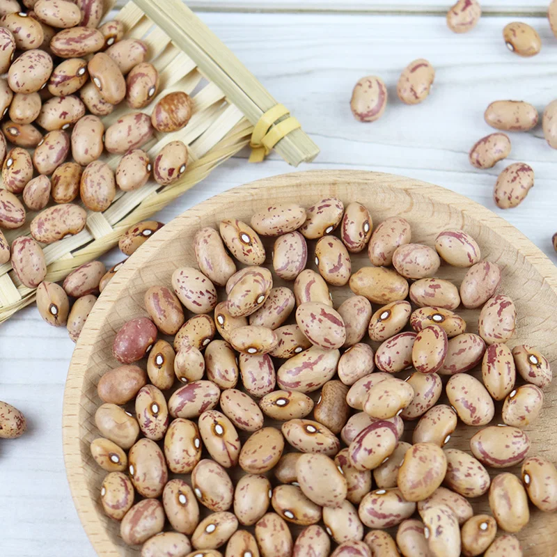 Premium Pinto Beans / Natural Dried Light Speckled Kidney Pinto Beans for sale