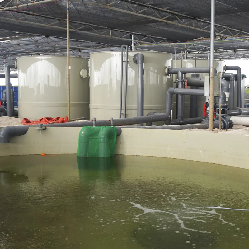 Supplier wholesale indoor fish recirculation shrimp farming ras equipment in india