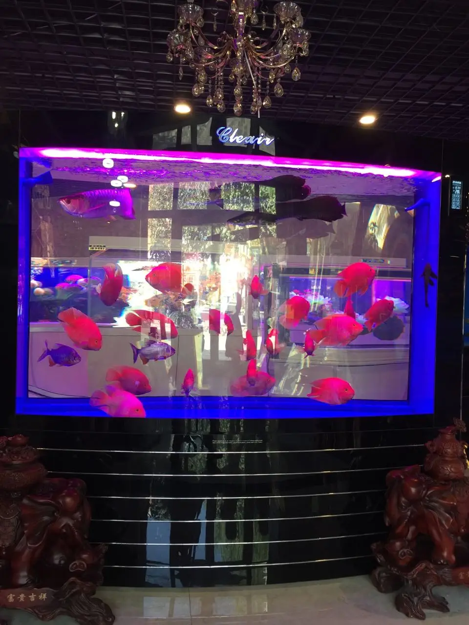 High Quality Cleair Aquatics Sump Filter Acrylic Aquarium LSCC-D Series