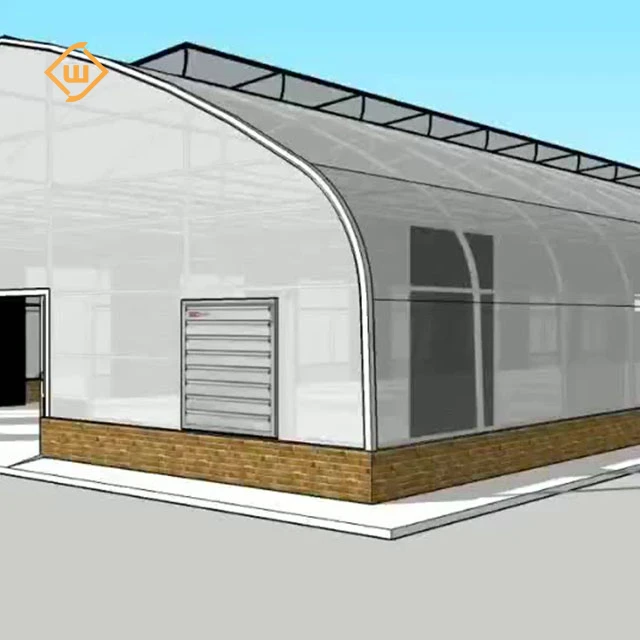 Modern automatic control equipment tomato strawberry single-span plastic film greenhouse