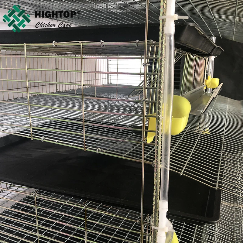 Коммерческий 6 ярус 12 ячеек низкоуглеродистая сталь Q235 перепелиные клетки для яйценоскость