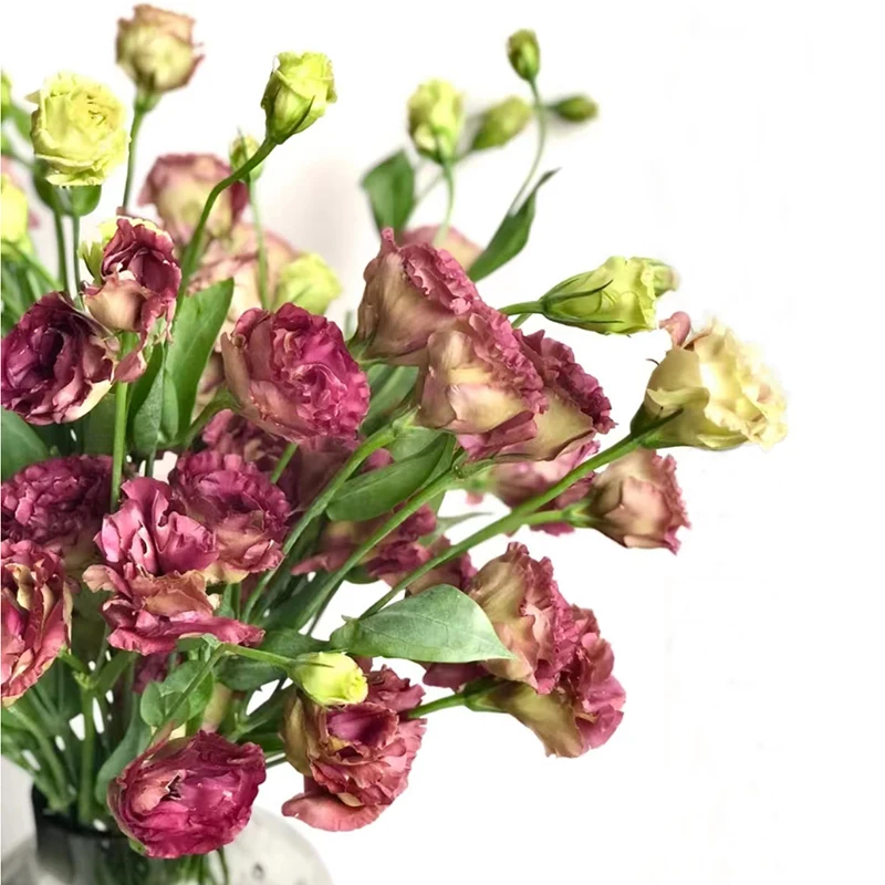 Wholesale Floral Foam Blocks Floral Dry Foam Fresh Cut Flower Eustoma Decor OEM Gray Mother Pcs Color Plants