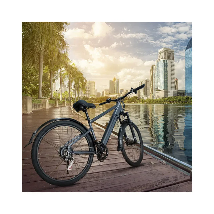 Подвеска передняя внешняя вилка 7 скоростей Shimano 26*2 125 дюйма шина 25 км/ч Скорость Электрический городской велосипед