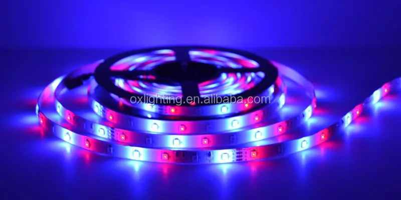 RGB Led Strip Roll DC12V 3528 IP65 5M 10m Magic Flexible Dimmable Multicolor RGB LED Strip Lights Tira Cinta Luces Luz