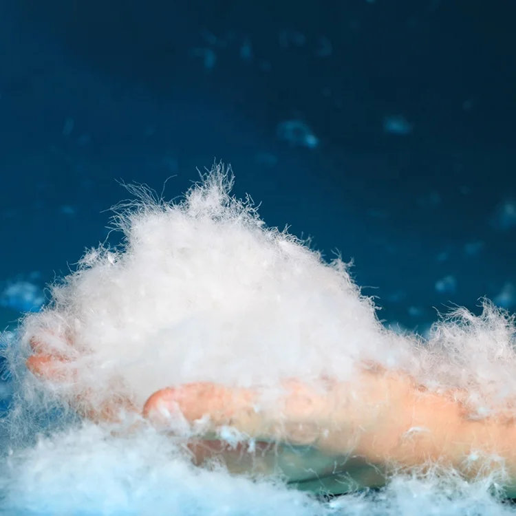 Factory Direct Sales Clothing Down Washed White Goose Down 90% Goose Down Fill For Sale