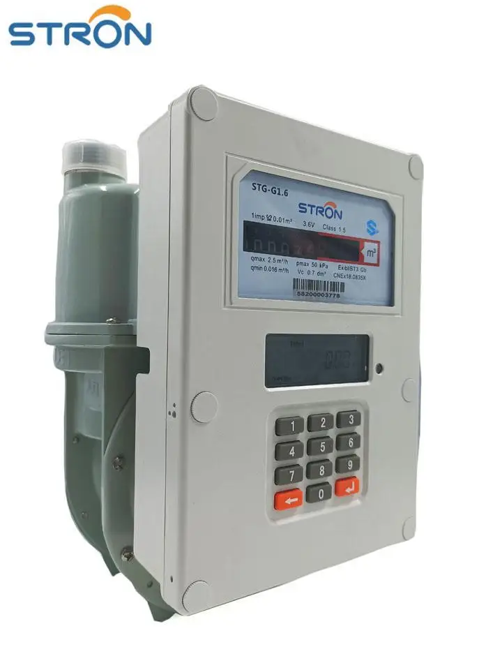 STG16-A  Compressed natural gas mass flow meter