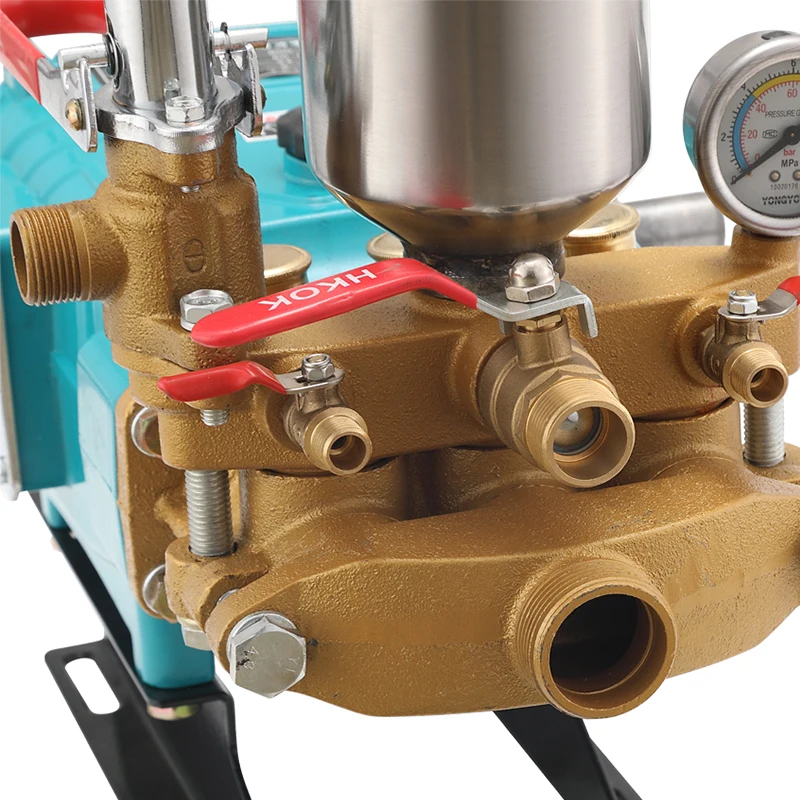 Taizhou manufacturer power sprayer gasoline engine for agriculture