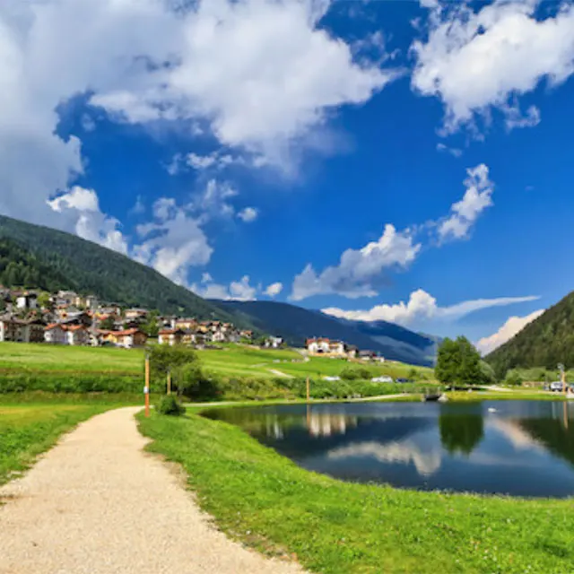 
Organic Vegetable Stock-Cube with Curry 60gr. - Bauer - italian Vegetable Stock-Cube by Trentino cuisine 
