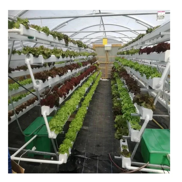 Hydroponics System Indoor Hydroponic Vertical Farming Nft System Hydroponics