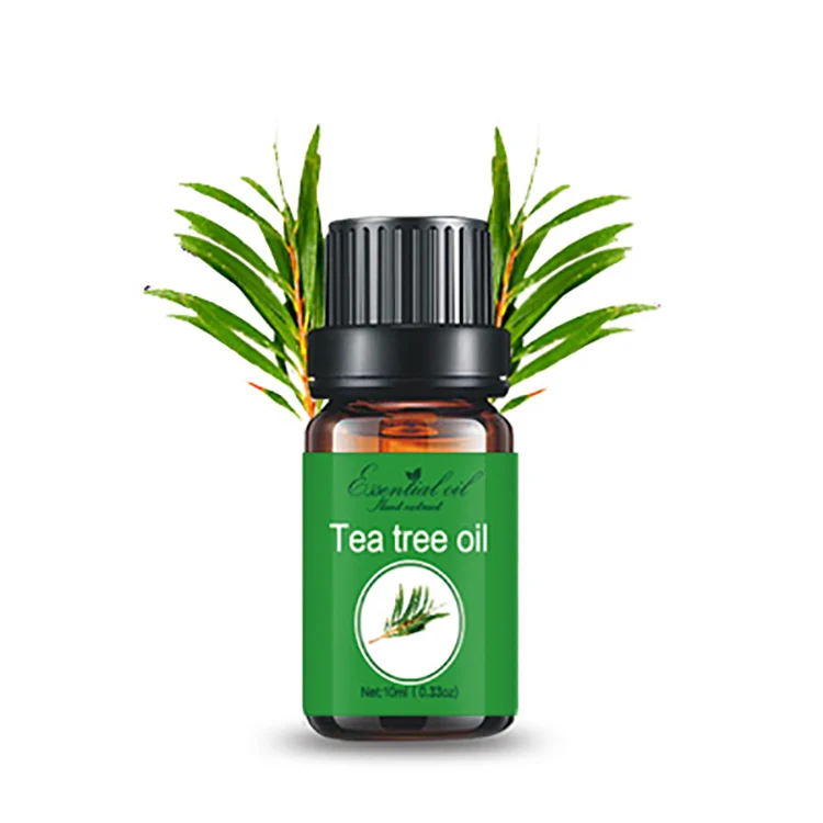 Private Label Aromatherapy Diffuser Essential Oil Low MOQ Natural Tea Tree Skin Oil Salicylic Acid for Face Free Sample