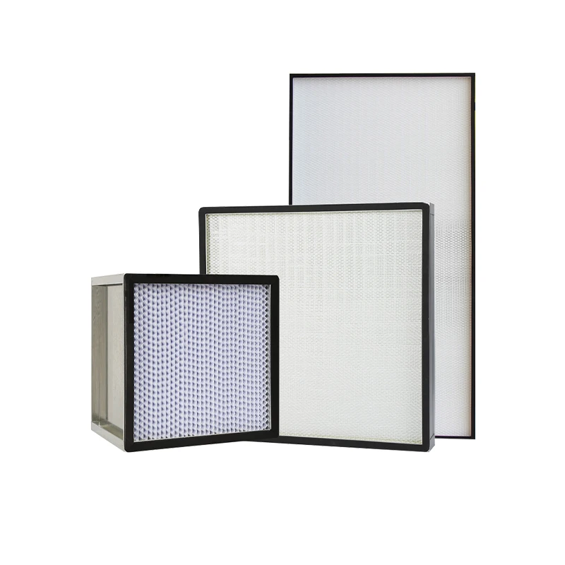 Manufacturer Replaceable H13 HEPA Air Filter with Hood