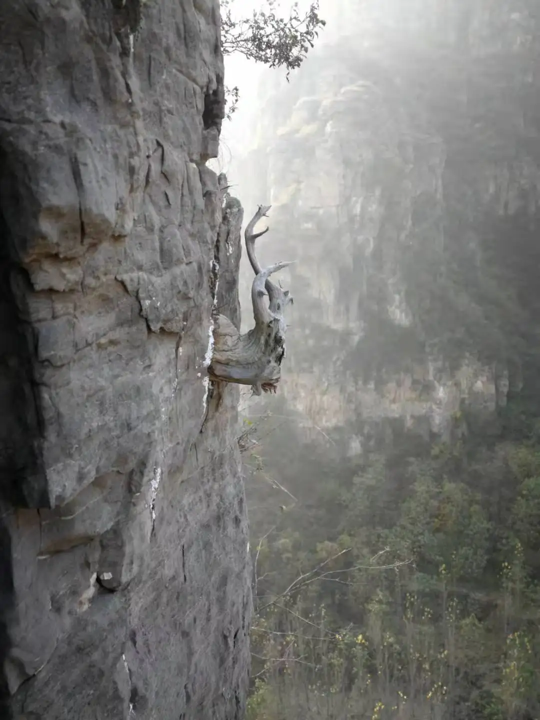 Wholesale Odor Eliminator Incense Sticks with Variety colors incense packaging box